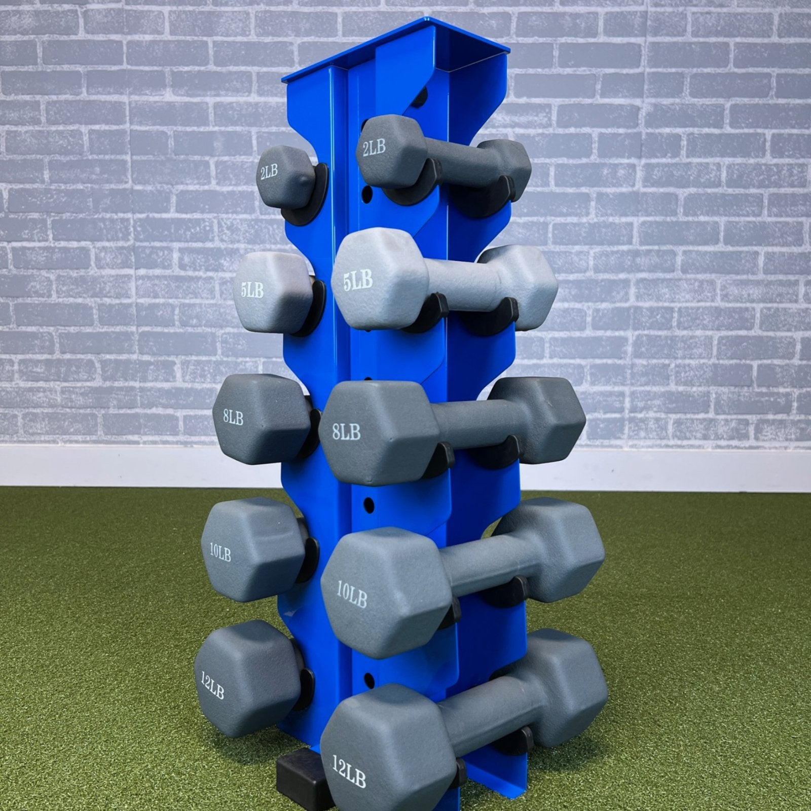 blue charlie 5-tier vertical dumbbell storage rack loaded with neoprene dumbbells